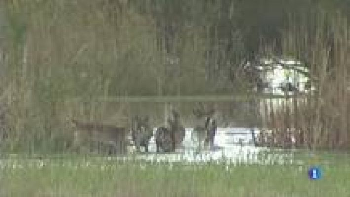 L'Informatiu - Diumenge 22 de març de 2015, dia mundial de l'Aigua