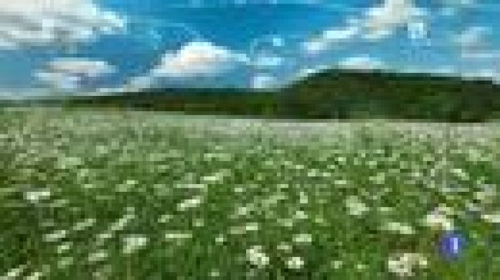 Telenorte - País Vasco - El Tiempo en el País Vasco - 23/03/15