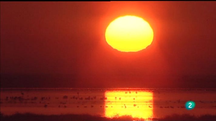 La aventura del Saber - Censos aéreos de Doñana