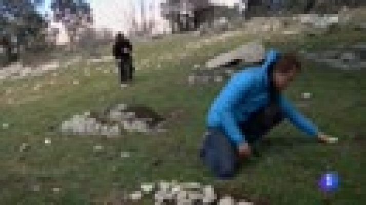 Aquí la Tierra - Una escuela en mitad de un bosque