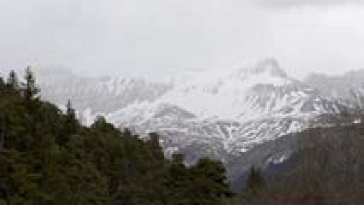 Telediario 1 - Testigos del accidente de Germanwings 