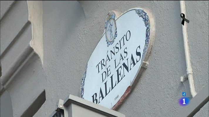 Comando Actualidad - Gijón , Asturias