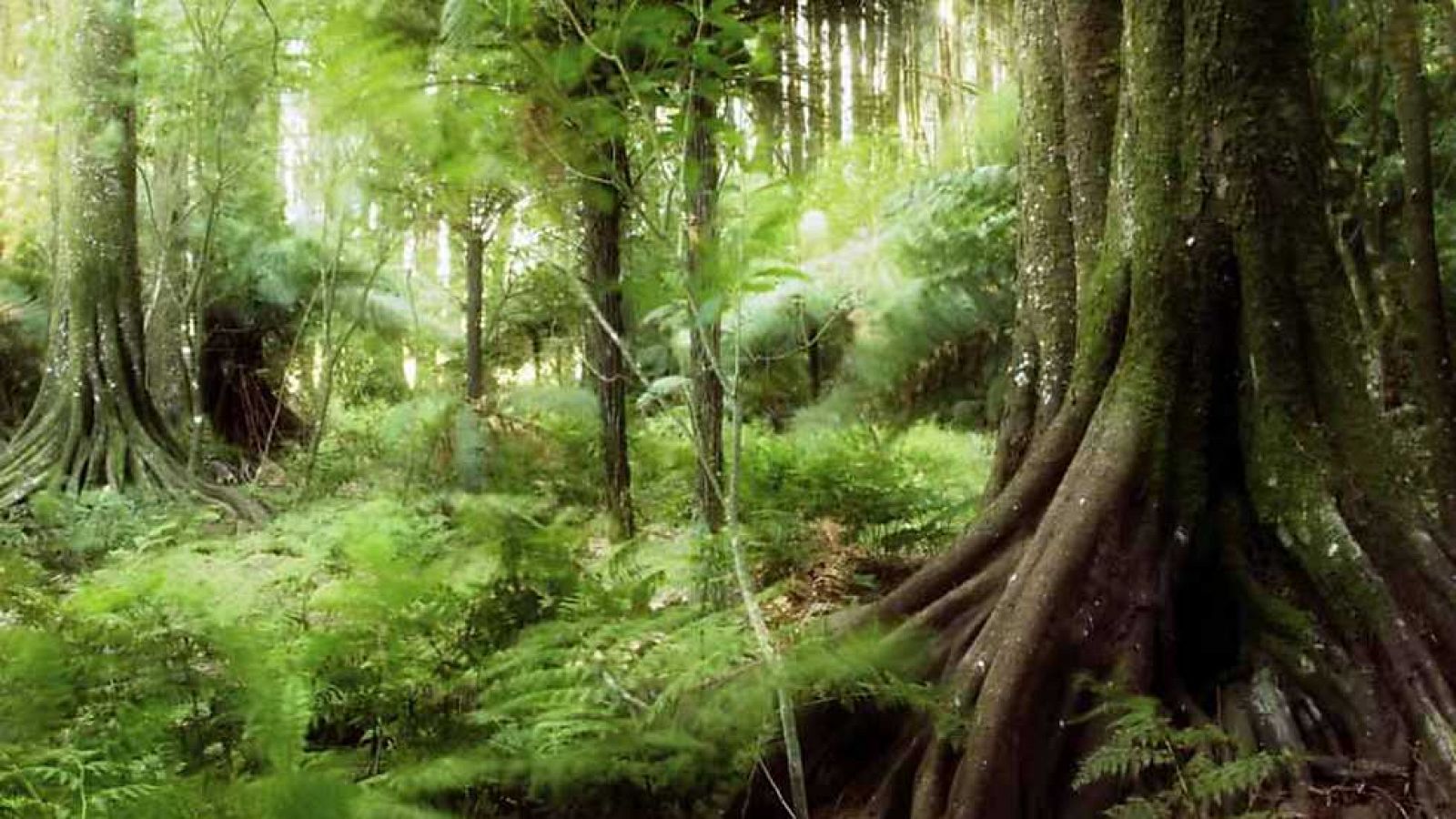 Docufilia - El planeta humano  - Ver ahora