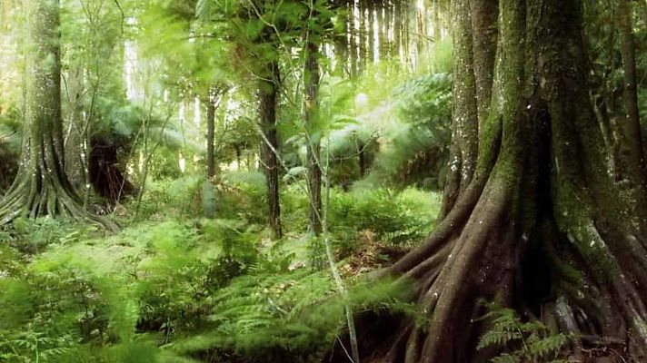 Documenta2 - El planeta humano