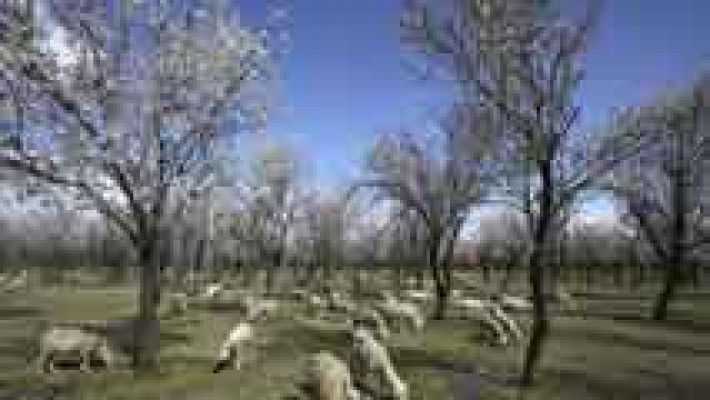 Informativo de Madrid - El Tiempo en la Comunidad de Madrid - 27/03/15