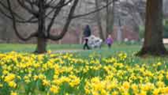El tiempo - Cielo nuboso en Galicia, cantábrico oriental y Pirineo