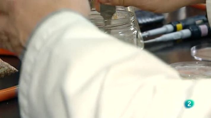 Agrosfera - El mejor pan del mundo