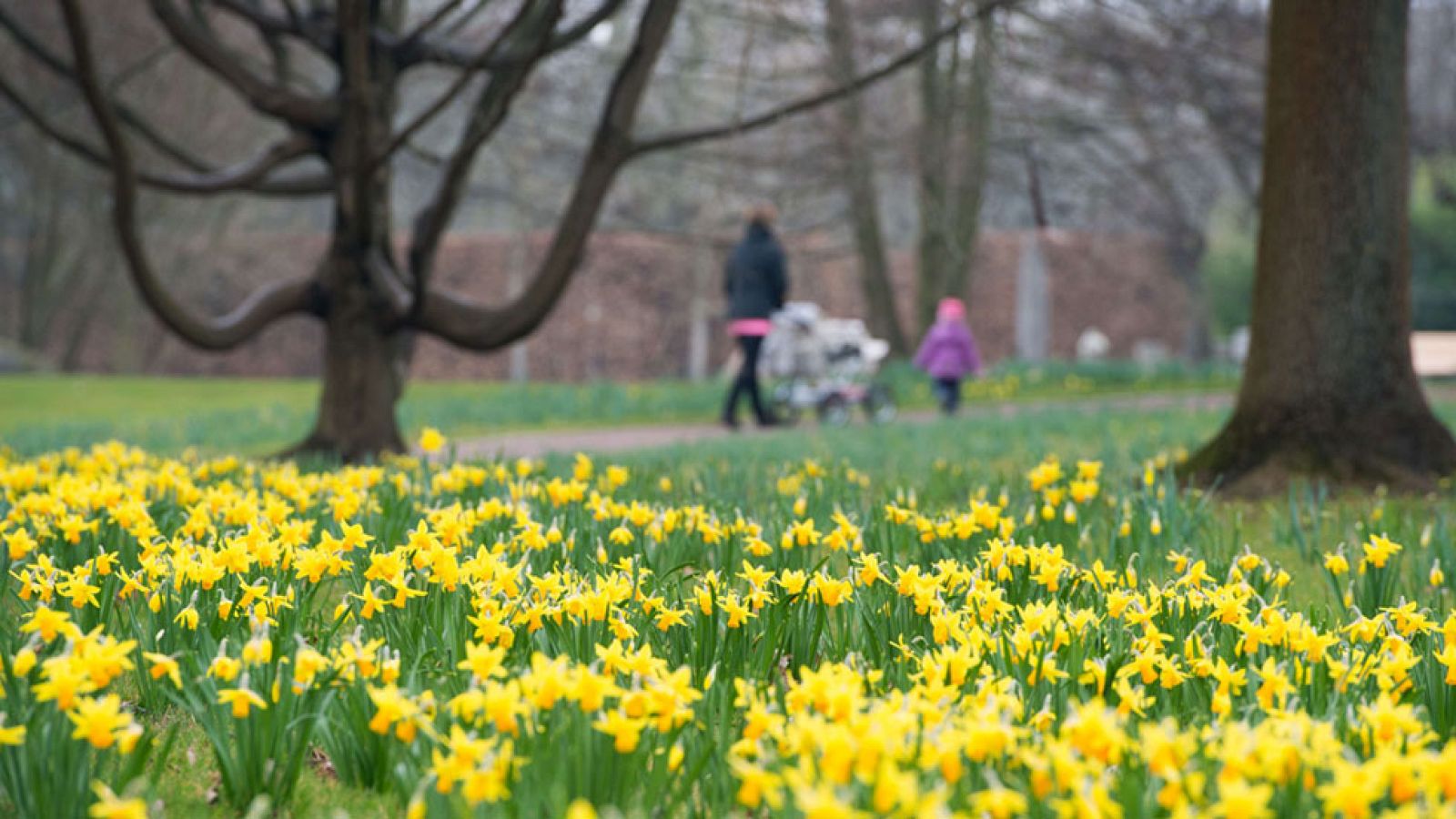 Intervalos de viento fuerte en el valle del Ebro