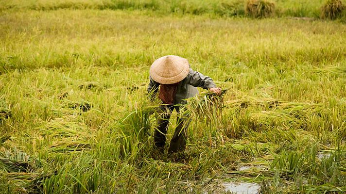 Documenta2 - La torre de Babel: La joya del Mekong