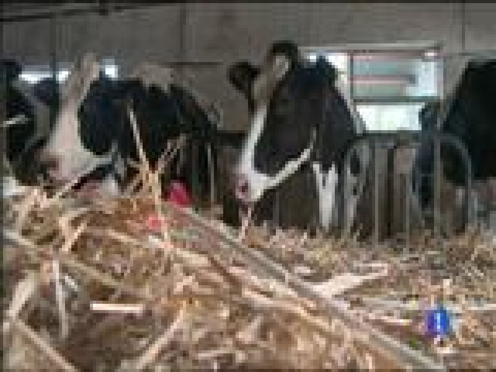 Asturias en 2' - 31/03/15