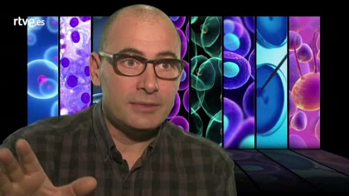 Crónicas - Lluís Ribas