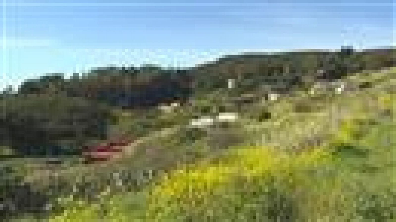 El tiempo en Canarias - 31/03/15 | Ver