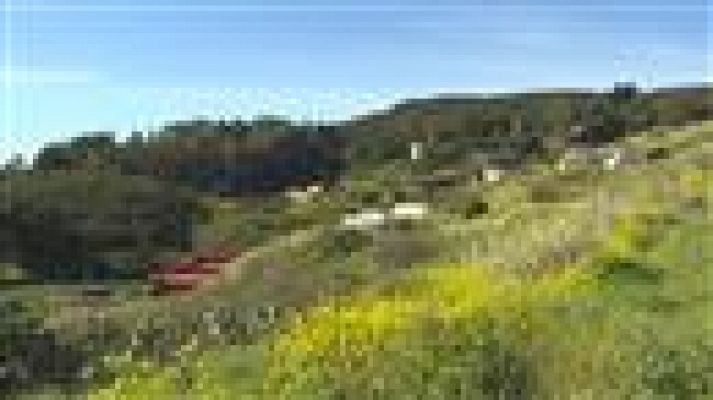 Telecanarias - El tiempo en Canarias - 31/03/15