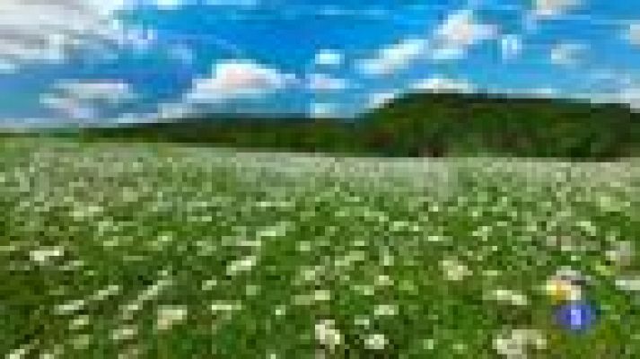 TeleCantabria - El tiempo en Cantabria - 31/03/15