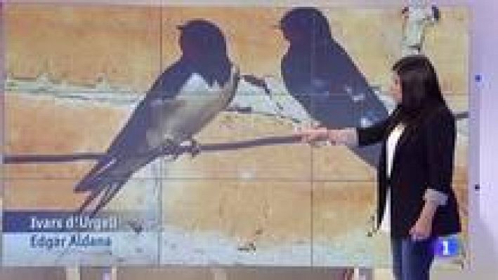 L'Informatiu - El temps - 01/04/2015