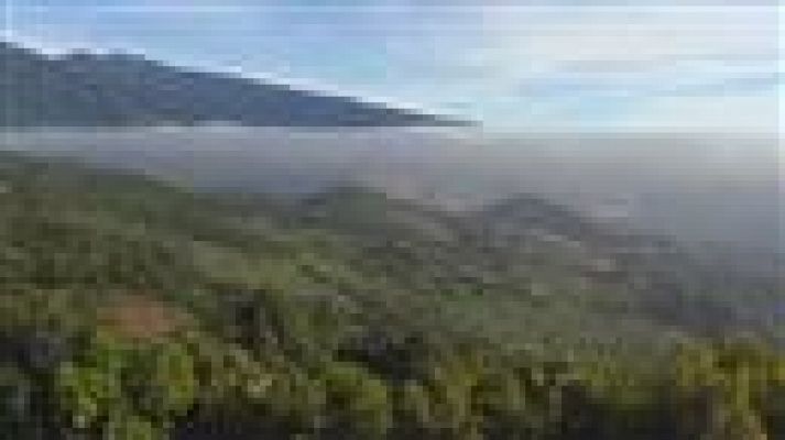 Telecanarias - El tiempo en Canarias - 01/04/15