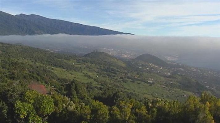 Telecanarias - El tiempo en Canarias - 01/04/15