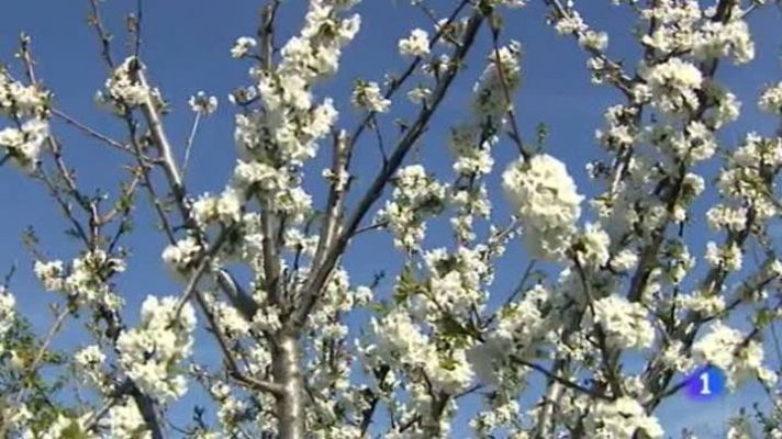 Noticias de Extremadura - Noticias de Extremadura 2 - 01/04/15