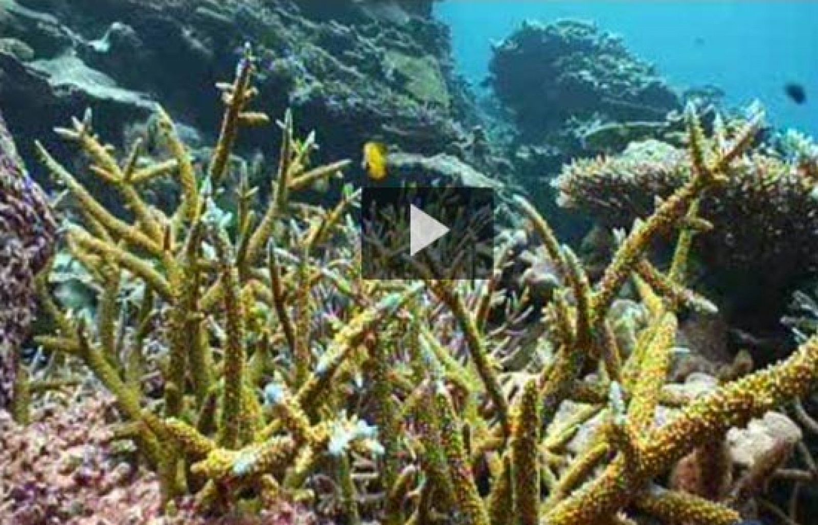 Arranca el Congreso Mundial de la Naturaleza