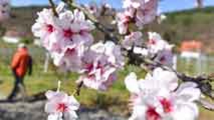 El tiempo - Descenso localmente notable de las temperaturas diurnas en el norte y este