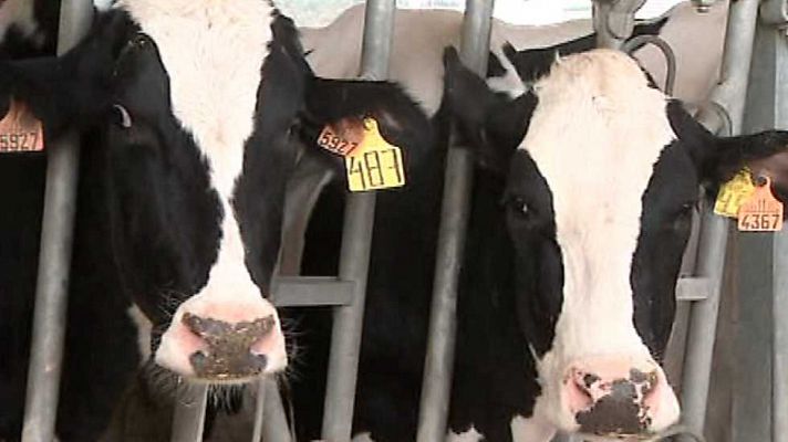 Agrosfera - Agrosfera - 04/04/15