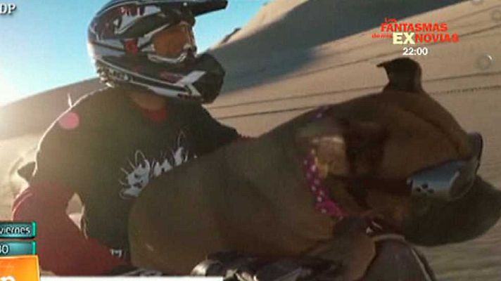 Lo que hay que ver ... - Lo que hay que ver - 04/04/15