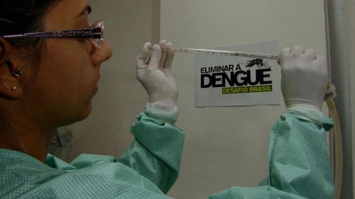 Telediario 1 - Una de cada 10 ciudades brasileñas en alerta por dengue