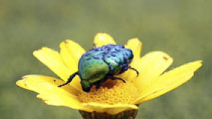 El tiempo - Lluvia y bajada temperaturas en Andalucía, Extremadura y Castilla La Mancha