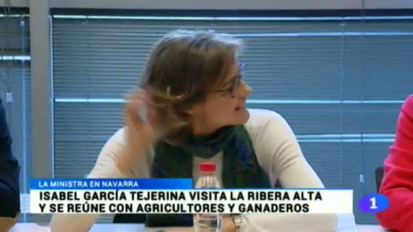 Telenavarra 2 - 07/04/2014 | Ver