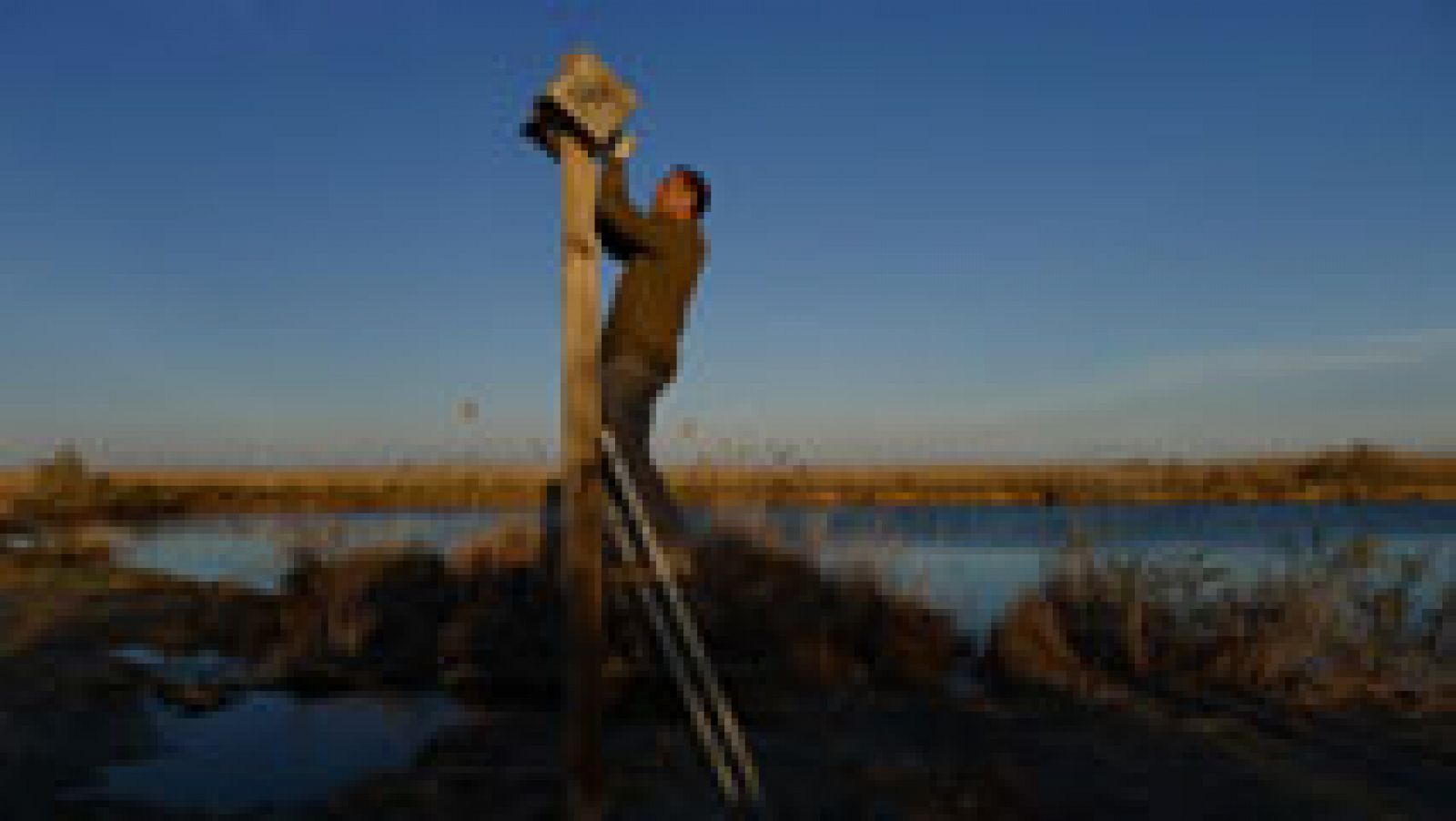 Aquí la Tierra: Murciélagos, habitantes oscuros del Delta del Ebro | RTVE Play