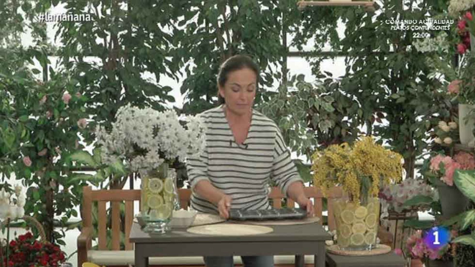 Los consejos de Maxi: Limones para todo