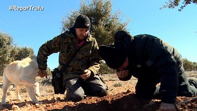 Teruel huele a trufa