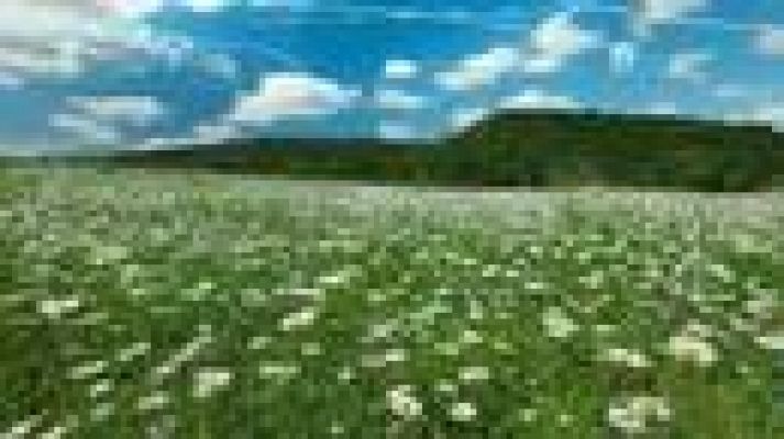 Telenorte - País Vasco - El tiempo en el País Vasco - 09/04/15