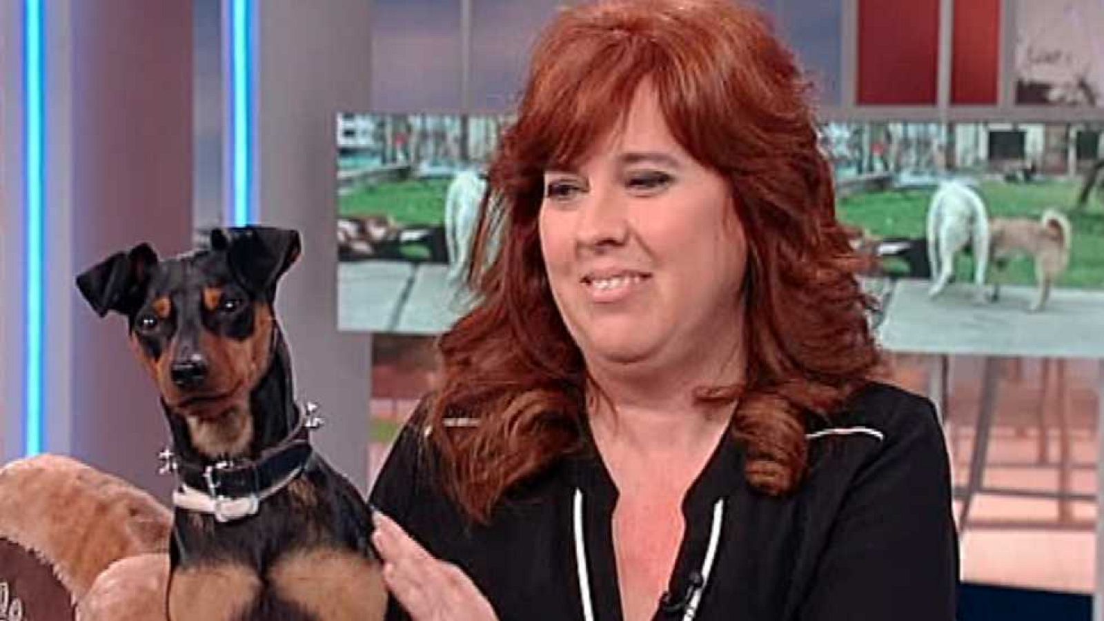 Para todos La 2 - 13/04/15 - ver ahora