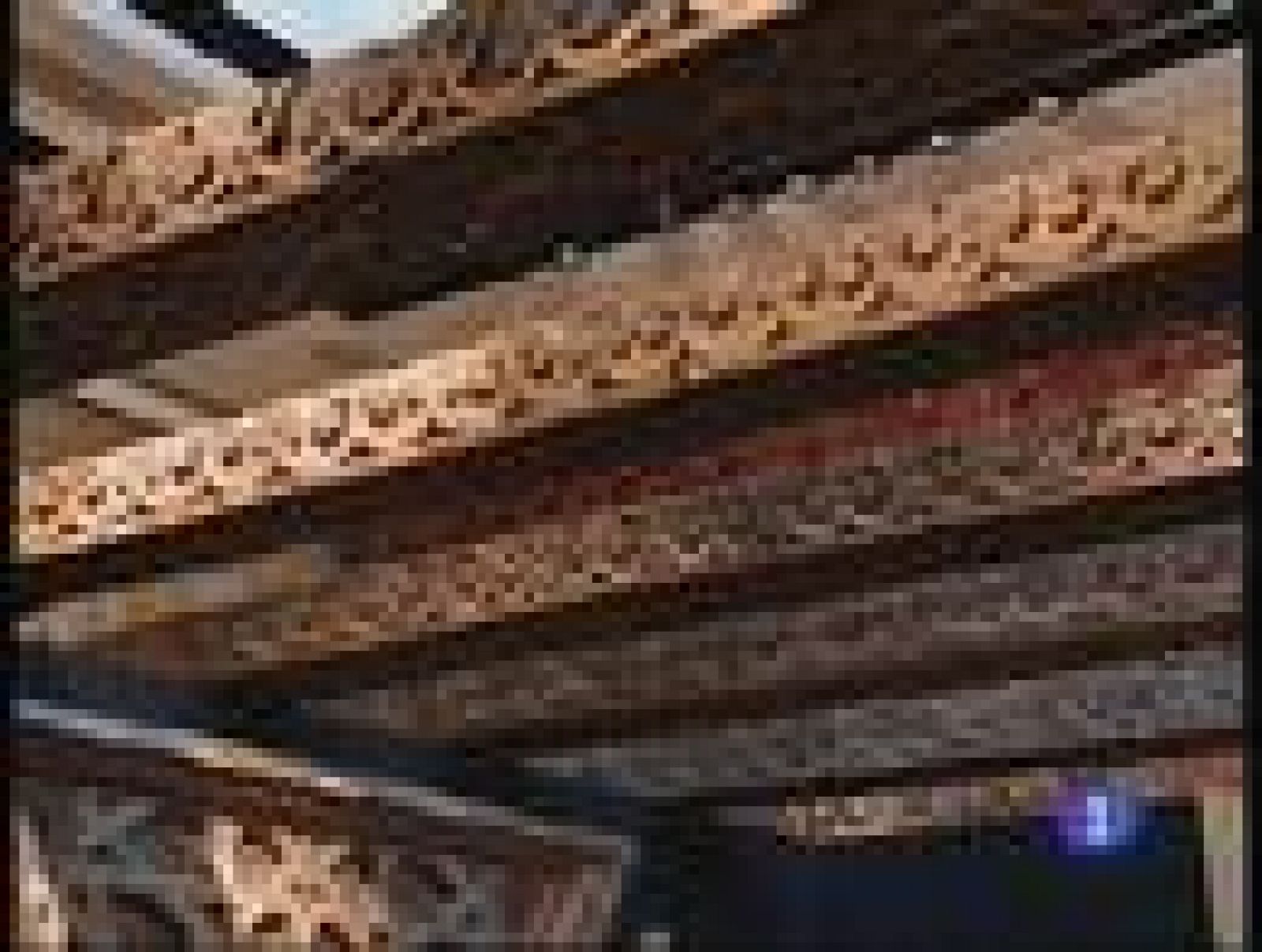 Las vigas de la mezquita de Córdoba ya tienen dueño | Ver