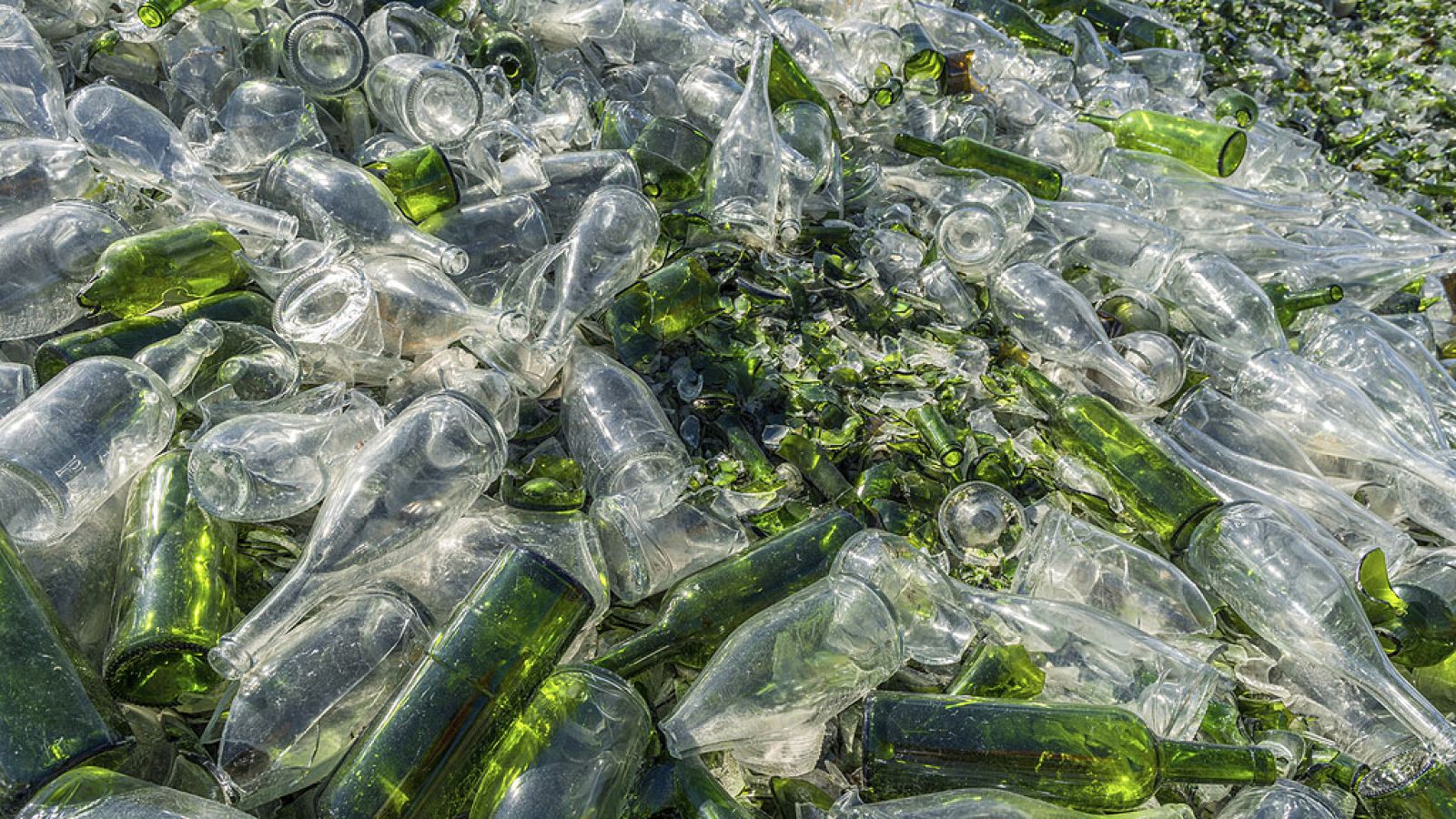 Reciclamos de media 56 envases de vidrio por persona al año