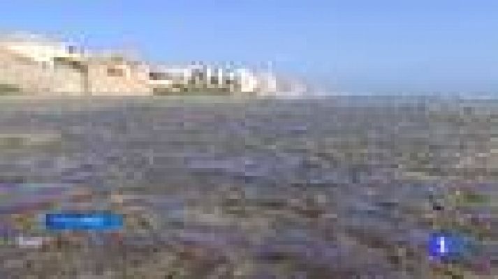 Noticias Murcia - La Región de Murcia en 2'- 16/04/2015