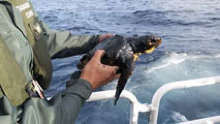 Telediario 1 - Investigación sobre el hundimiento del barco ruso