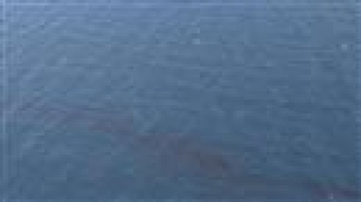 Telecanarias - Telecanarias - 16/04/15