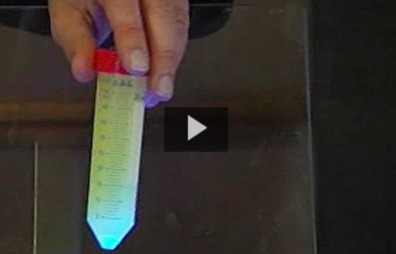 Nobel de química a los descubridores de una proteína verde fluorescente