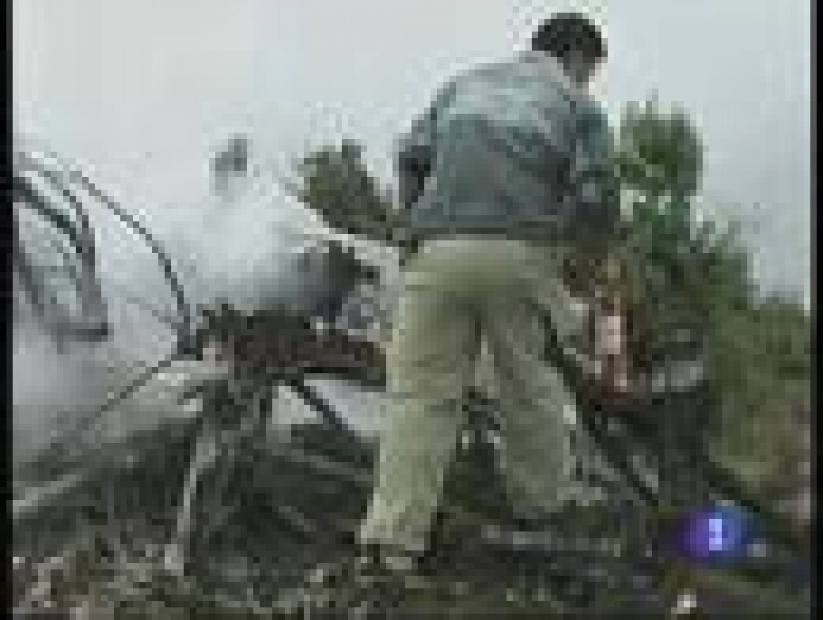 Sin programa: Accidente aéreo en Nepal | RTVE Play