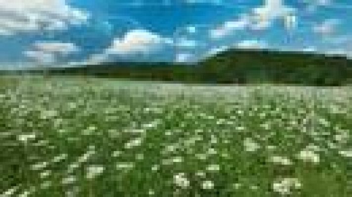 Telenorte - País Vasco - El tiempo en el País Vasco - 20/04/15