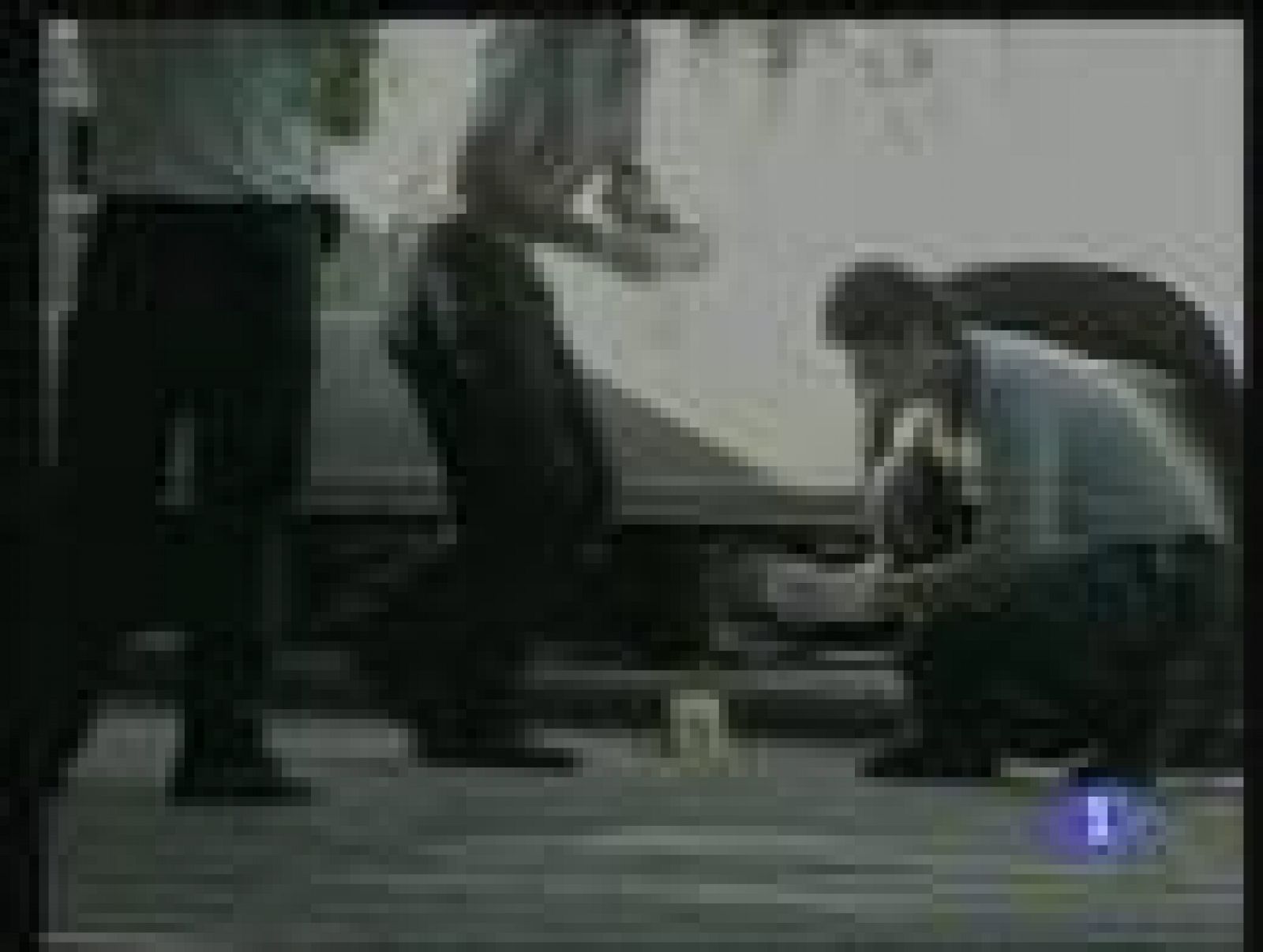 Los cárteles de la droga cada vez más violentos en México | Ver