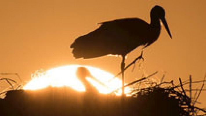 Informativo de Madrid - El Tiempo en la Comunidad de Madrid - 23/04/15