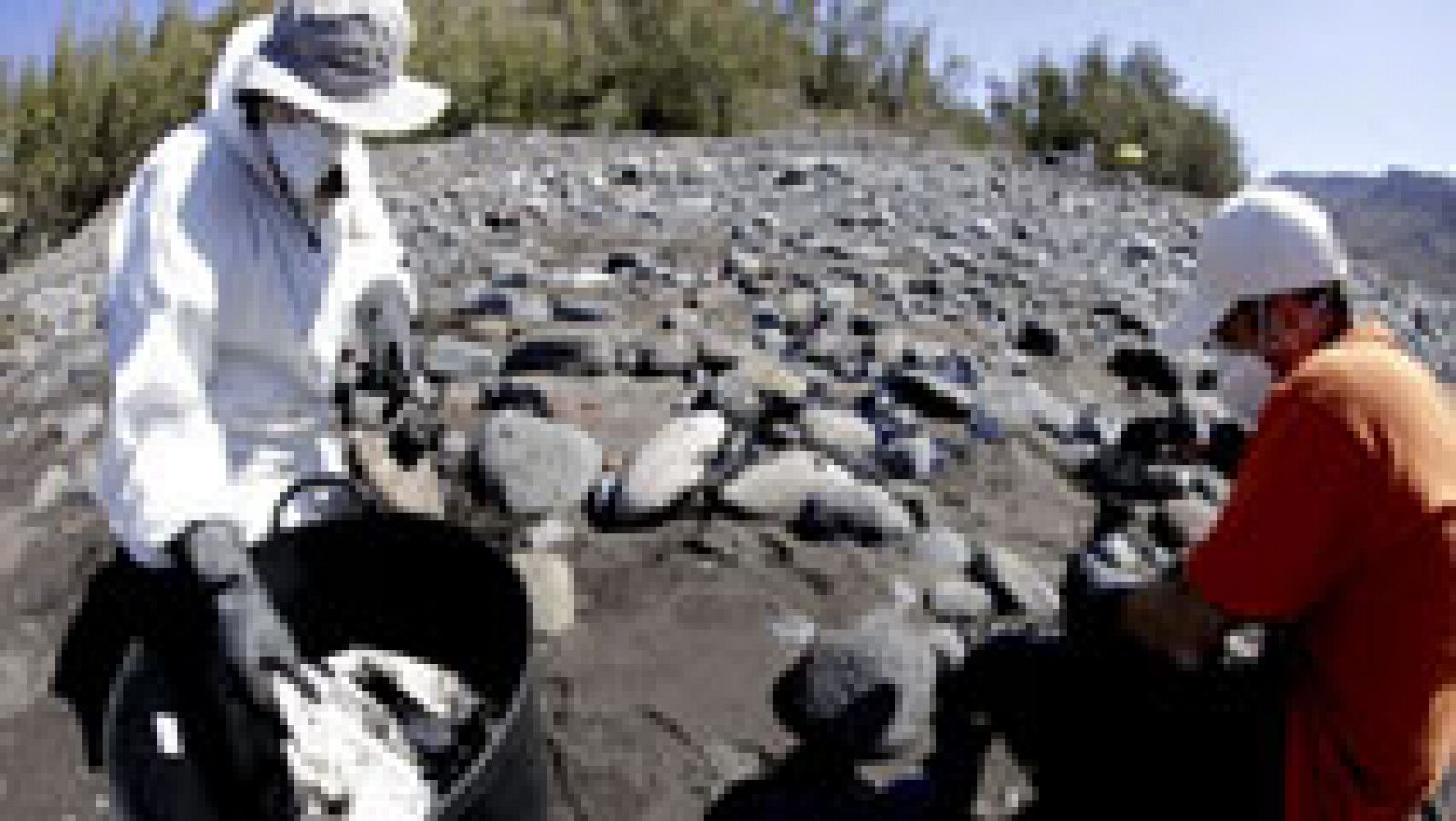 La mancha de fuel del pesquero hundido en Canarias alcanza ya la playa de Verenguera
