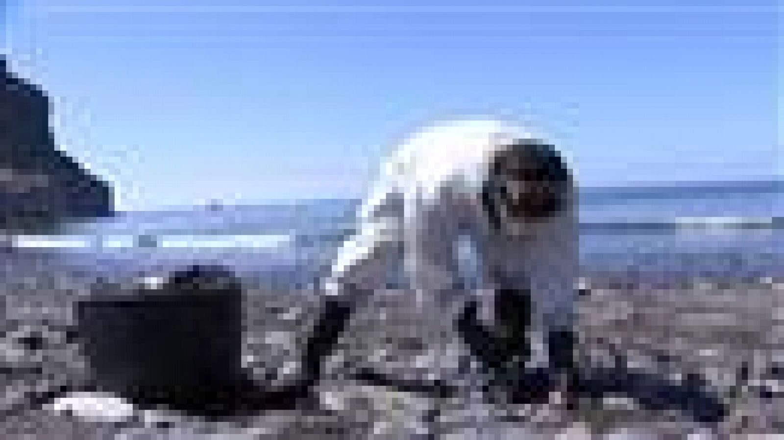 Telecanarias - 23/04/15 | Ver