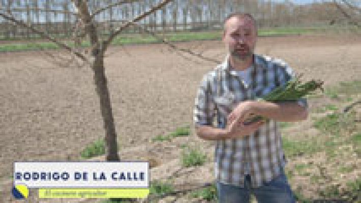 Al punto - La revolución verde