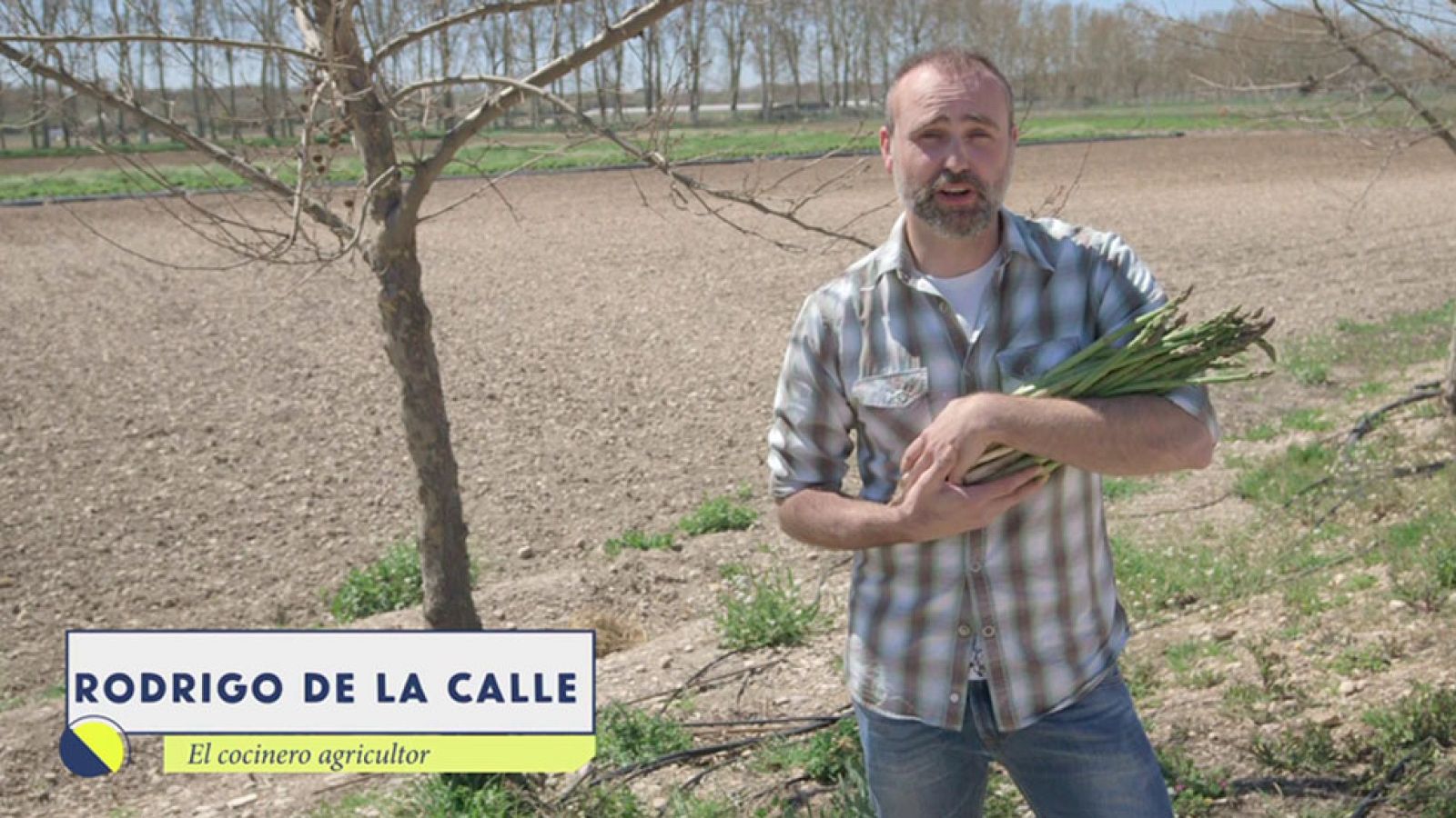  La revolución verde