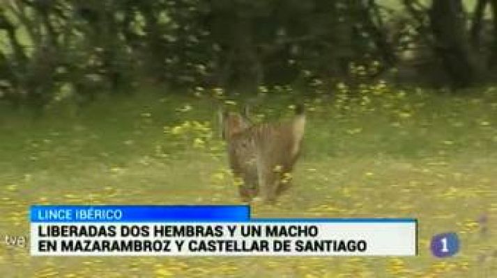 Noticias de Castilla-La Mancha - 24/04/15