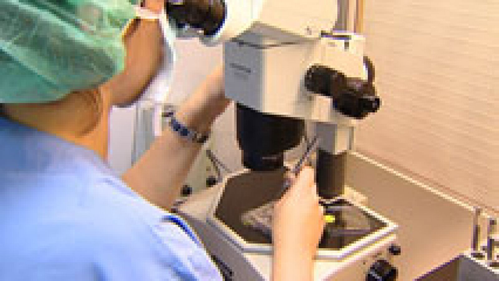 Científicos logran manipular el ADN de un embrión de ratón para impedir el desarrollo de enfermedades hereditarias